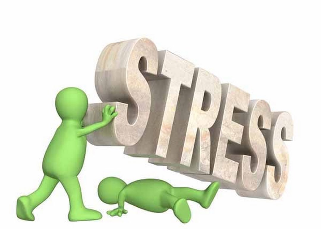 Cách giảm stress luôn được nhiều người quan tâm và tìm kiếm