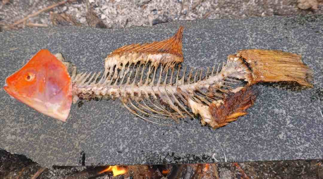 Bị hóc xương cá có gây nguy hiểm không?