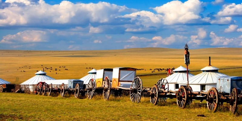 Phần lớn lãnh thổ Mông Cổ là những đồng cỏ